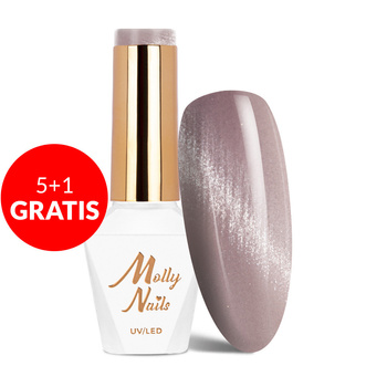 5+1 gratis Magnetischer Hybridlack mit Cat-Eye-Effekt Cat Eye Crystal Water Molly Nails HEMA/Di-HEMA-frei 8 g Nr. 163