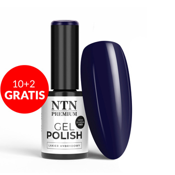 10+2 gratis Smalto ibrido NTN Premium Oriental Delice senza HEMA/Di-HEMA 5 g n. 266