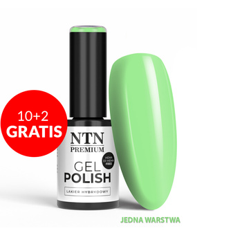 Smalto ibrido NTN Premium Soft Touch Collection senza HEMA/Di-HEMA 5 g n. 02