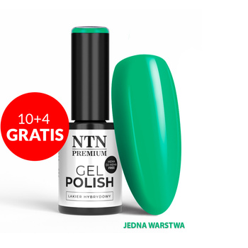 10+4 gratis Smalto ibrido LED/UV Gel Polish Greens n. 556 Edizione limitata NTN Premium senza HEMA/Di-HEMA 5 g