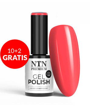 10 + 2 gratis: NTN Premium Dessert Collection HEMA/Di-HEMA-freier Hybridlack, 5 g, Nr. 91