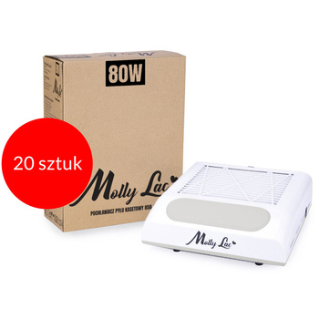 20 pezzi Filtro antipolvere a cassetta MollyLac da 80 W con 1 ventola, bianco 858-8