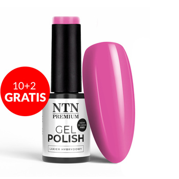 10+2 gratis Smalto ibrido NTN Premium California Collection senza HEMA/Di-HEMA 5 g n. 140
