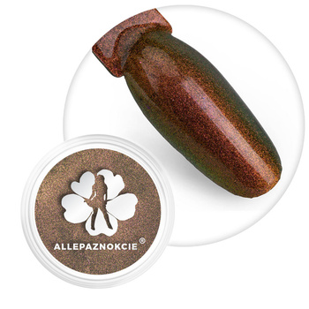 Polvere per unghie Chameleon premium Allepaznokcie elegance 0,5 g N. 2
