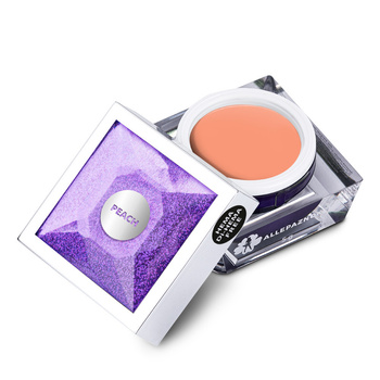 Gel per decorazioni Artistic Gel paint gel ombre ornamenti Allepaznokcie Art Peach Pesca HEMA /Di-HEMA free 5g N. 8