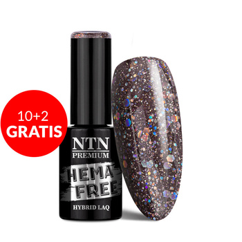 10+2gratis Lakier hybrydowy NTN Premium Multicolor Collection HEMA/Di-HEMA Free 5g Nr 89