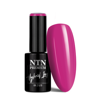 Lakier hybrydowy NTN Premium Birthday Party Collection 5g Nr 54