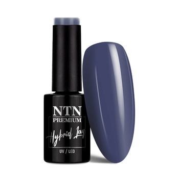 Lakier hybrydowy Ntn Premium Dessert Collection 5g Nr 99
