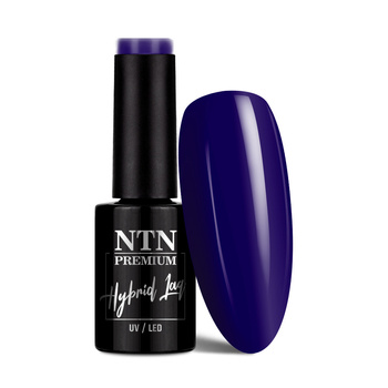 Lakier hybrydowy NTN Premium After Midnight Collection 5G NR 69