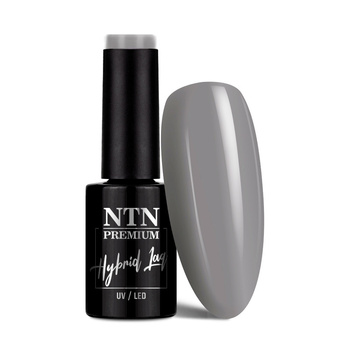 Lakier hybrydowy NTN Premium Day Dreaming Collection 5g Nr 57