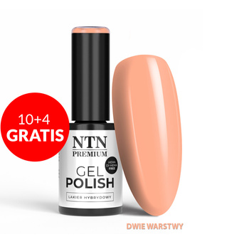 10+4gratis Lakier hybrydowy LED/UV Gel Polish Oranges Nr 535 Limited Edition NTN Premium HEMA/Di-HEMA Free 5g