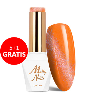 5 + 1 gratuit Vernis hybride Molly Nails Neon Flashy Cat Eye HEMA Free 8 g n° 171