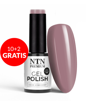 10+2 gratis Smalto ibrido NTN Premium Uptown Girl Collection HEMA/Di-HEMA Free 5 g n. 24
