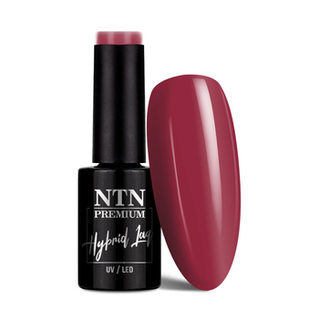 Lakier hybrydowy Ntn Premium Passion for Love Collection 5g Nr 207