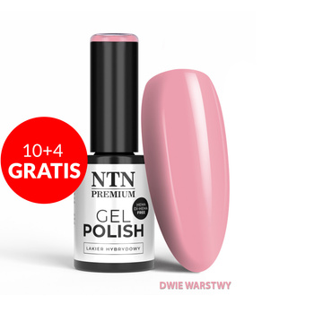 10+4gratis Lakier hybrydowy LED/UV Gel Polish Nudes Nr 539 Limited Edition NTN Premium HEMA/Di-HEMA Free 5g