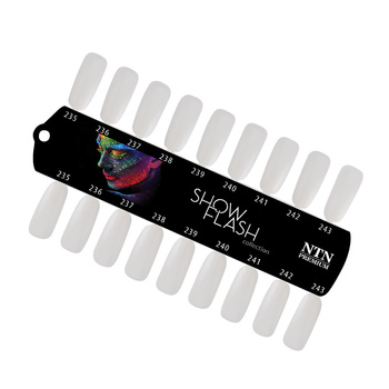 Modello da colorare NTN Show Flash