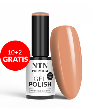 10 + 2 gratuits - Vernis hybride LED/UV Gel Polish Nudes n° 460 Édition limitée NTN Premium sans HEMA/Di-HEMA 5 g