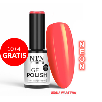 10+4gratis Lakier hybrydowy LED/UV Gel Polish Oranges Nr 537 Limited Edition NTN Premium HEMA/Di-HEMA Free 5g