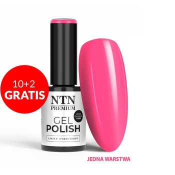10+2gratis Lakier hybrydowy LED/UV Gel Polish NTN Premium Delight Sorbet Collection Nr 151 HEMA/Di-HEMA Free 5g