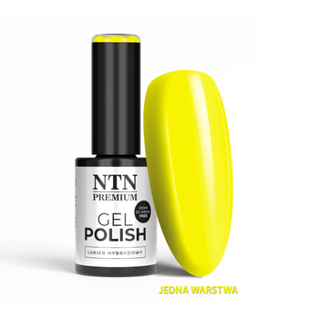 Lakier hybrydowy LED/UV Gel Polish NTN Premium Limited Edition Nr 370 HEMA/Di-HEMA Free 5g