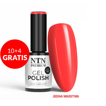 10+4gratis Lakier hybrydowy LED/UV Gel Polish Reds Nr 573 Limited Edition NTN Premium HEMA/Di-HEMA Free 5g
