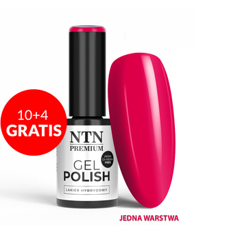 10+4gratis Lakier hybrydowy LED/UV Gel Polish Reds Nr 552 Limited Edition NTN Premium HEMA/Di-HEMA Free 5g