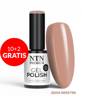 10+2gratis Lakier hybrydowy LED/UV Gel Polish NTN Premium Topless Collection Nr 14 HEMA/Di-HEMA Free 5g