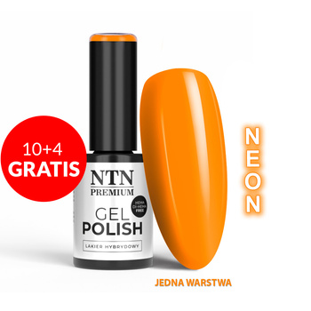 10+4gratis Lakier hybrydowy LED/UV Gel Polish Oranges Nr 533 Limited Edition NTN Premium HEMA/Di-HEMA Free 5g