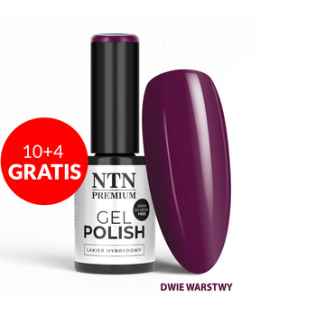 10+4gratis Lakier hybrydowy LED/UV Gel Polish Purples Nr 550 Limited Edition NTN Premium HEMA/Di-HEMA Free 5g