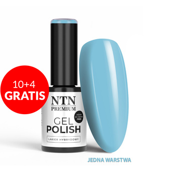 10+4gratis Lakier hybrydowy LED/UV Gel Polish Blues Nr 555 Limited Edition NTN Premium HEMA/Di-HEMA Free 5g