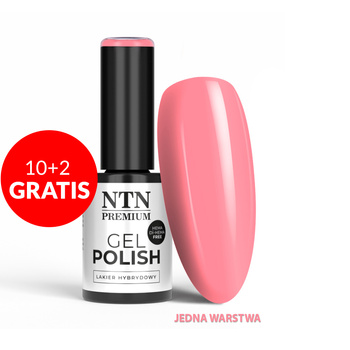 10+2gratis Lakier hybrydowy LED/UV Gel Polish NTN Premium Dessert Collection Nr 92 HEMA/Di-HEMA Free 5g