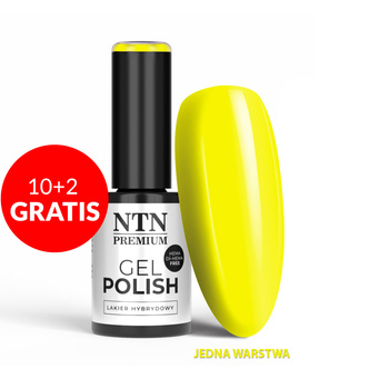 10+2gratis Lakier hybrydowy LED/UV Gel Polish NTN Premium Limited Edition Nr 370 HEMA/Di-HEMA Free 5g