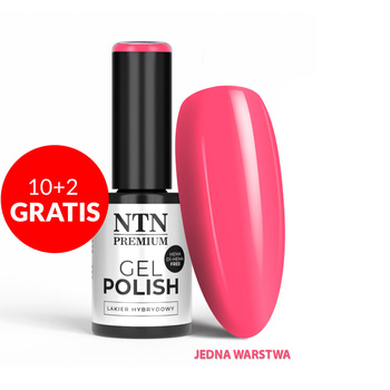 10+2gratis Lakier hybrydowy LED/UV Gel Polish NTN Premium Design Your Style Collection Nr 39 HEMA/Di-HEMA Free 5g