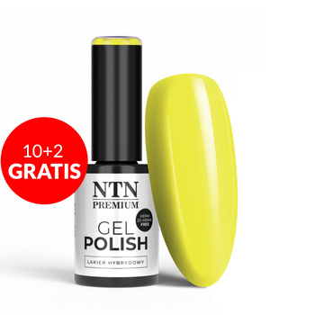 10+2gratis Lakier hybrydowy LED/UV Gel Polish NTN Premium Delight Sorbet Collection Nr 147 HEMA/Di-HEMA Free 5g