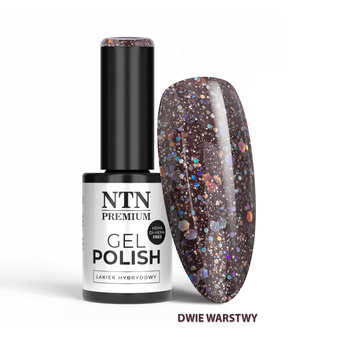 Lakier hybrydowy NTN Premium Multicolor Collection HEMA/Di-HEMA Free 5g Nr 89