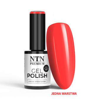 Lakier hybrydowy LED/UV Gel Polish Reds Nr 573 Limited Edition NTN Premium HEMA/Di-HEMA Free 5g