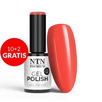 10+2gratis Lakier hybrydowy LED/UV Gel Polish NTN Premium Ambrosia Collection Nr 162 HEMA/Di-HEMA Free 5g