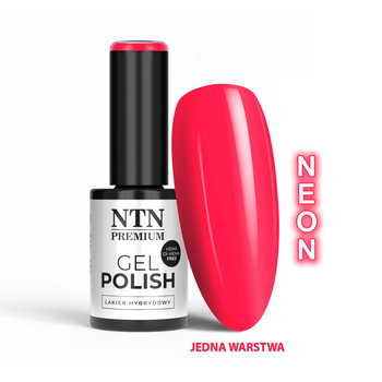 Lakier hybrydowy LED/UV Gel Polish Reds Nr 551 Limited Edition NTN Premium HEMA/Di-HEMA Free 5g
