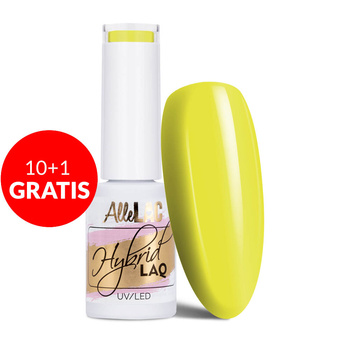10+1 GRATIS Lakier hybrydowy AlleLac Over the Rainbow 5g Nr 81