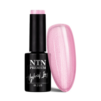 Lakier hybrydowy Ntn Premium Impression 5g Nr 254
