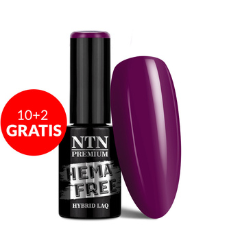 10 + 2 gratis: NTN Premium After Midnight Collection HEMA/Di-HEMA-freier Hybridlack, 5 g, Nr. 64