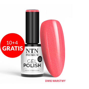 10+4 безкоштовно Гібридний лак LED/UV Gel Polish Reds № 554 Limited Edition NTN Premium без HEMA/Di-HEMA 5 г