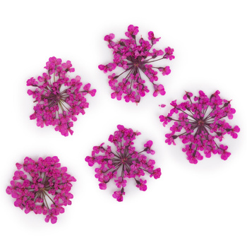 Flores secas para decorar las uñas MollyLac Peach Pink, 5 unidades