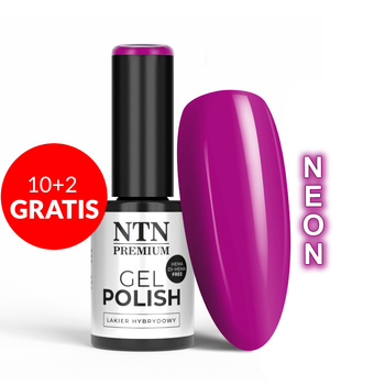 10+2 безкоштовно Гібридний лак NTN Premium Design Your Style Collection HEMA/Di-HEMA Free 5 г № 41
