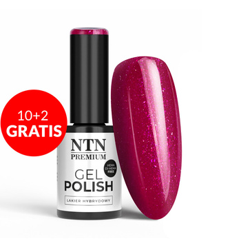 10+2 gratis Smalto ibrido Ntn Premium Passion for Love Collection HEMA/Di-HEMA Free 5 g n. 203