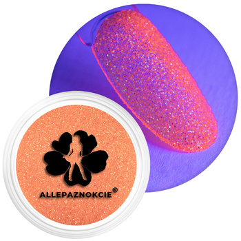 Polvere per unghie neon Polvere di sirena che brilla alla luce UV Allepaznokcie barattolo da 2,5 g n. 4