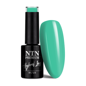 Smalto ibrido Ntn Premium Celebration Collection 5 g n. 163