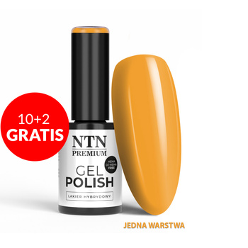 10+2 безкоштовно Гібридний лак LED/UV Gel Polish NTN Premium Milkshake № 315 без HEMA/Di-HEMA, 5 г