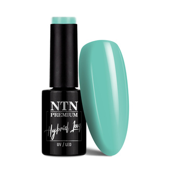 Гібридний лак NTN Premium Soft Touch Collection 5 г № 08