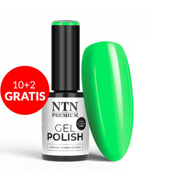 10+2 безкоштовно Гібридний лак NTN Premium Limited Edition без HEMA/Di-HEMA, 5 г, № 432